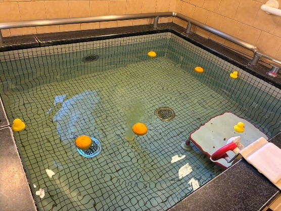 <br />
<b>Warning</b>:  Undefined variable $cate_name in <b>/usr/home/mw2phblz1u/www/htdocs/wordpress/wp-content/themes/mytheme/single-blog.php</b> on line <b>58</b><br />
